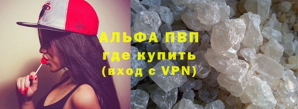 индика Алексин