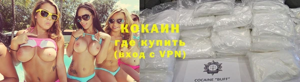 индика Алексин