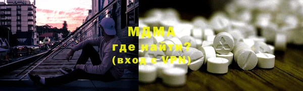 индика Алексин