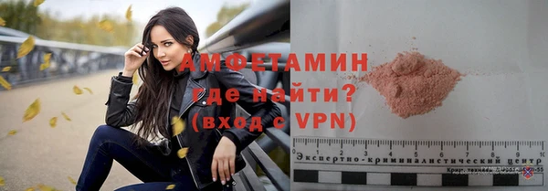 индика Алексин