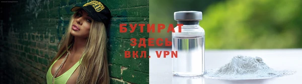 индика Алексин