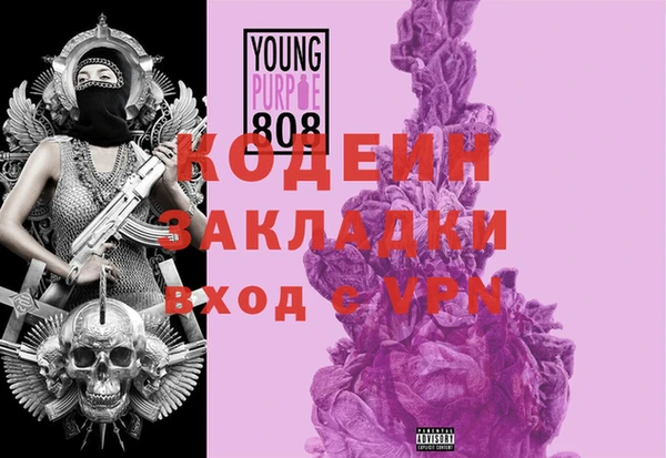индика Алексин