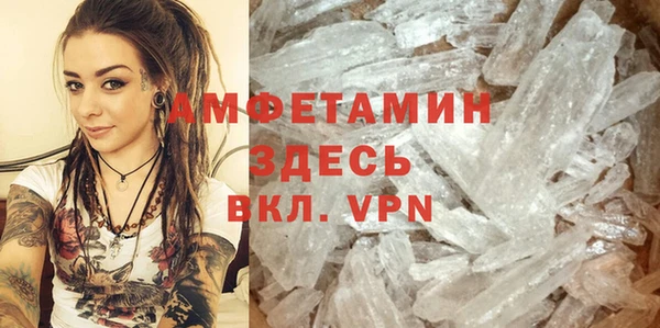 индика Алексин