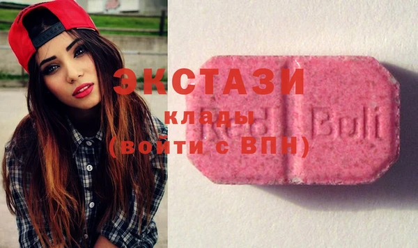 индика Алексин
