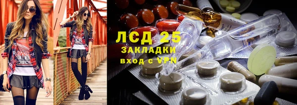 индика Алексин