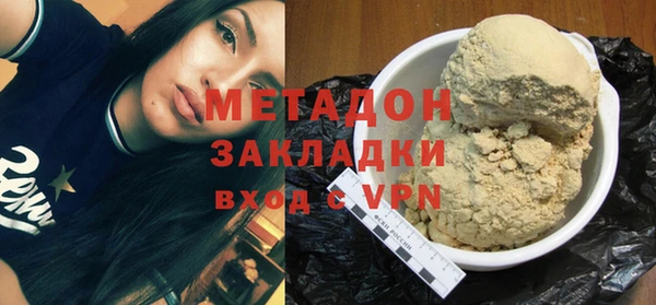 индика Алексин