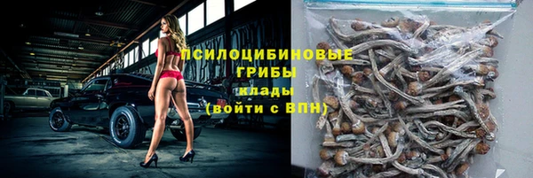 spice Алзамай