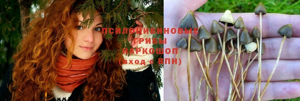 индика Алексин