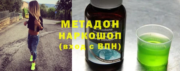 индика Алексин