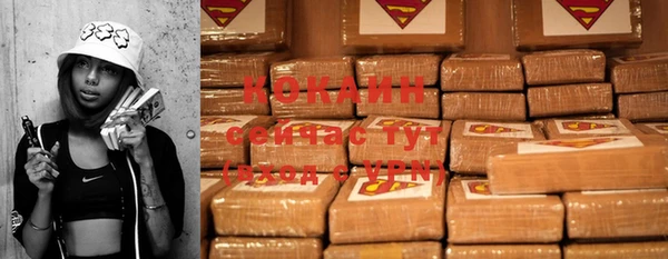 spice Алзамай