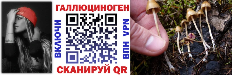 Псилоцибиновые грибы GOLDEN TEACHER  Калач-на-Дону 